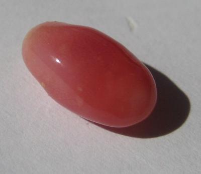 Dark Pink Conch Pearl