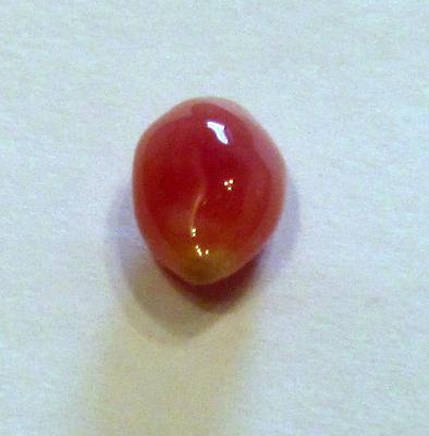 2.08 carat conch pearl 