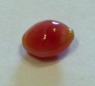 2.08 carat conch pearl 