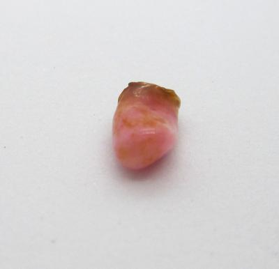 Deep Pink Conch Pearl Baroque Shape with Ugly End
