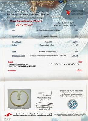 Double Line Natural Pearls Necklace 61 carats