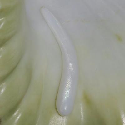 Elongated Clam Pearl 10.4 ct