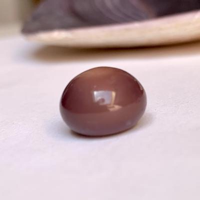 Exceptional 15.28 carats Purple Quahog Pearl