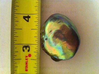 160.24 carat abalone pearl