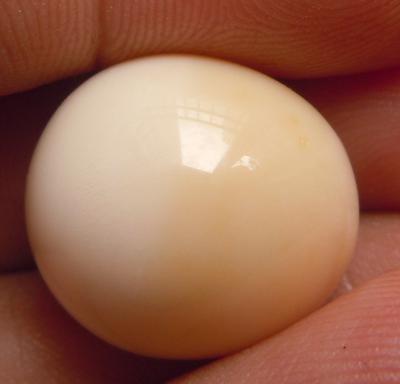 Extremely Rare Bicolour Non-Nacreous Pearl 37.79ct