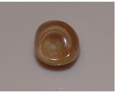 0.65 carat light brown conch natural pearl