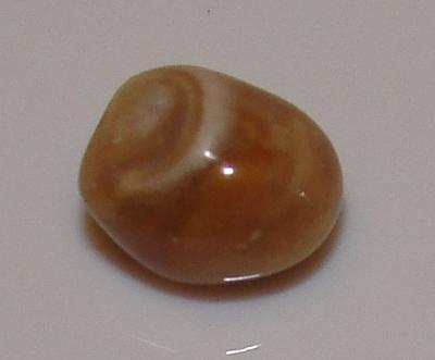 0.65 carat light brown conch natural pearl