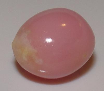 4.10 carat conch pearl