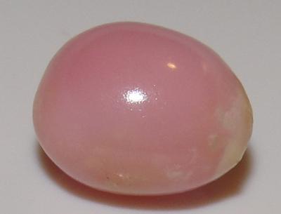 4.10 carat conch pearl