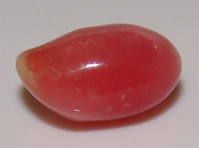 2.25 carat  10 x 8mm Natural Conch Pearl