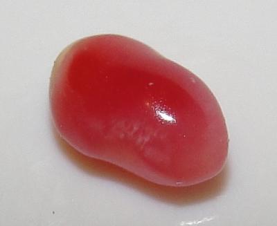 0.35 carat 5 x 3mm natural conch pearl