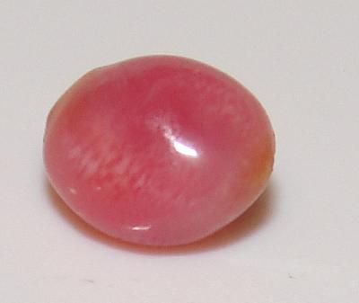 Extremely Rare Queen Conch 6 x mm Natural Pearl