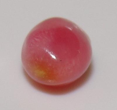 0.70 carat 6  x 4 mm natural conch pearl