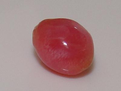 0.70 carat 6  x 4 mm natural conch pearl