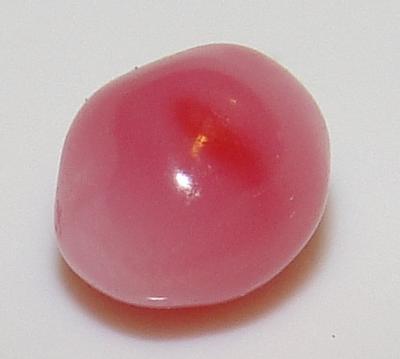 Extremely Rare Queen Conch Pink Half Carat Natural Pearl