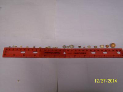 Finding pearls at work, Are they valuable?