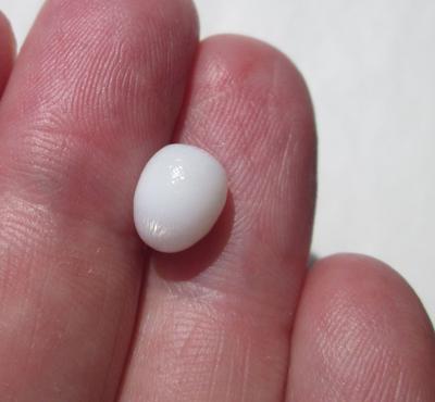 Flame Clam Pearl 3+ carats 8mm