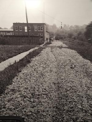 The shell road to Leo Hirsch Button Company in the early 1900s.