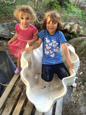 Fossil Giant Clam (Tridacna Gigantea) polished to perfection, museum quality 500Ibs!