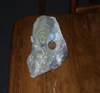 Fossil Pearl fround  September 2008