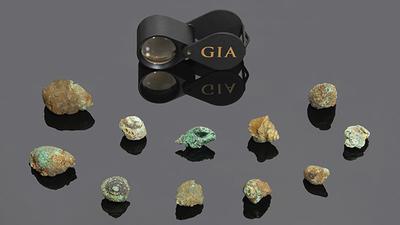 Eleven semitranslucent to opaque green and brown fossilized shells. Most of these specimens show clear shell outlines with green emerald grains. Photo by Johnny Leung.