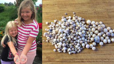 Katy and Mina holding their pearly treasures (Photo: Else Holmefjord)