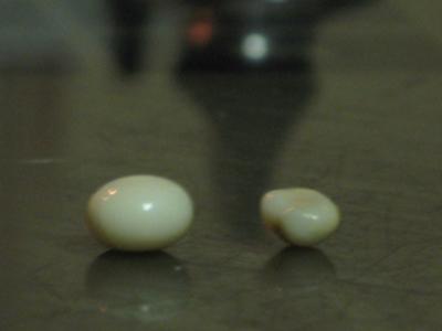 Two Natural Pearls
