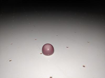 found a 7.84 carat quahog pearl lavender