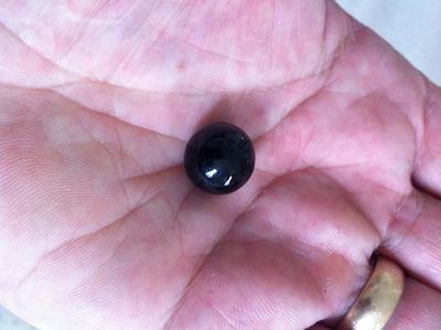 Black pearl found in Blue River