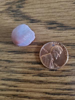 Day after it was found