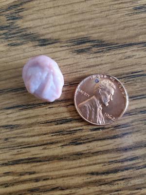 Day after it was found