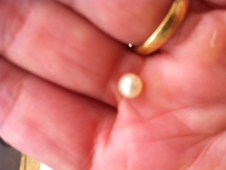 Natural Pearl found in Brisbane