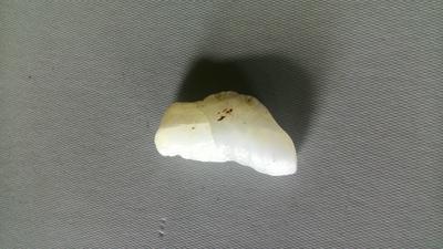 probably tridacna gigas pearl