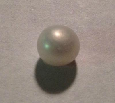 pearl found on beach in Hawaii 
