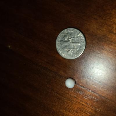 Louisiana oyster pearl