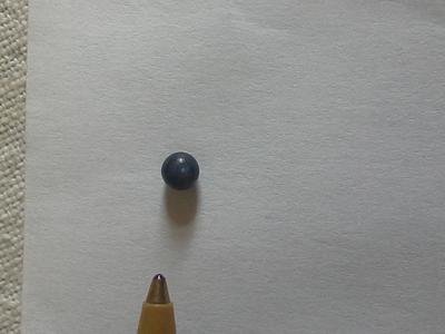 my little quahog pearl