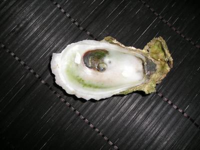 found a pearl in oyster