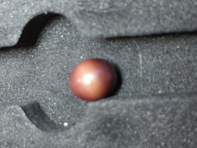 Found one while eating Quahogs omelette 