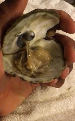 Blister oyster pearl