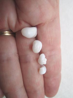 Four Curly Natural Clam Pearls 16 carats Total