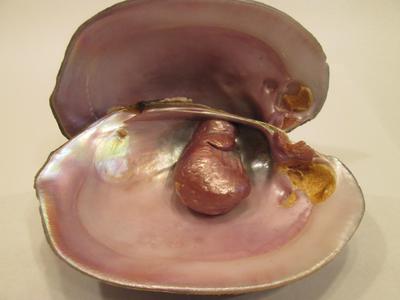 Natural USA River Pearls