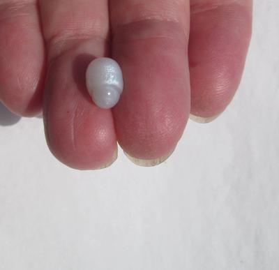 Full Flame 3 carat Clam Pearl Oval Shaped 9mm 