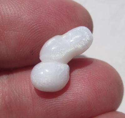 Full Flame Clam Pearl Bootie Sock Shape 6+ carats