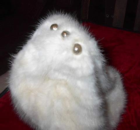 Fur Hat Pearls Fur Hat Pearls