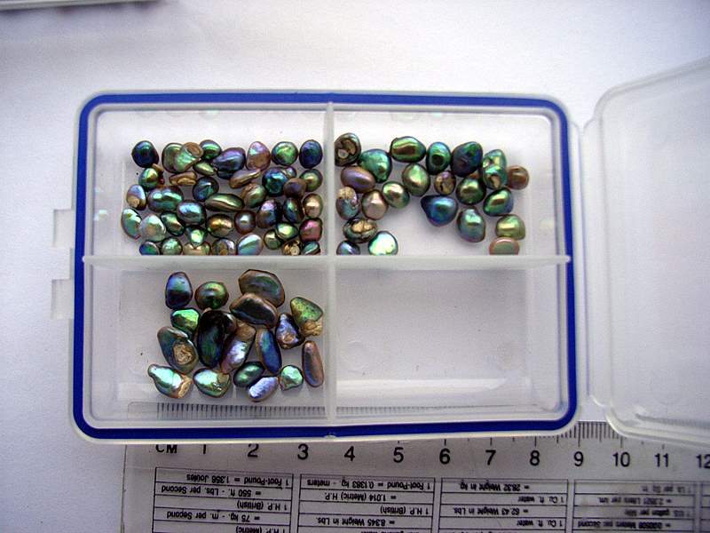 Paua pearls for sale sales