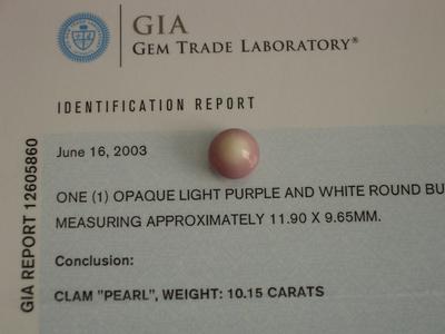 GIA-certified natural quahog clam pearl, 10 ct