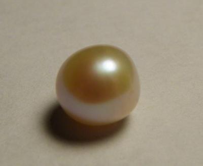 Gold Semi Round Gem Freshwater Pearl 2.6 carats