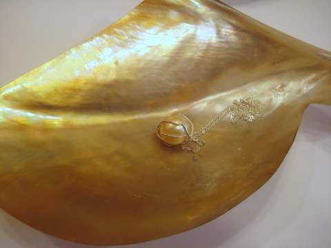 Golden South Sea Pearl on Golden Lip Oyster for Sale Golden South Sea pearl on golden lip oyster for sale