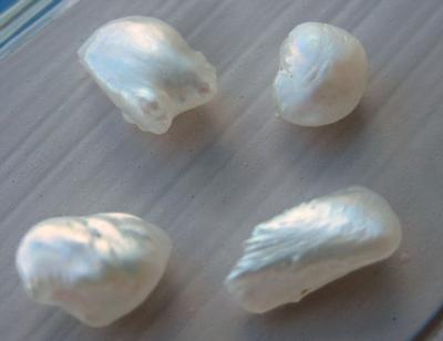 Group of 4 Natural USA Freshwater Pearls