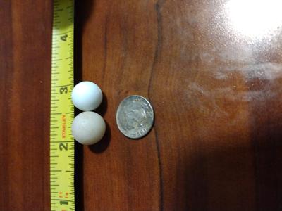 Gulf of Mexico pearls